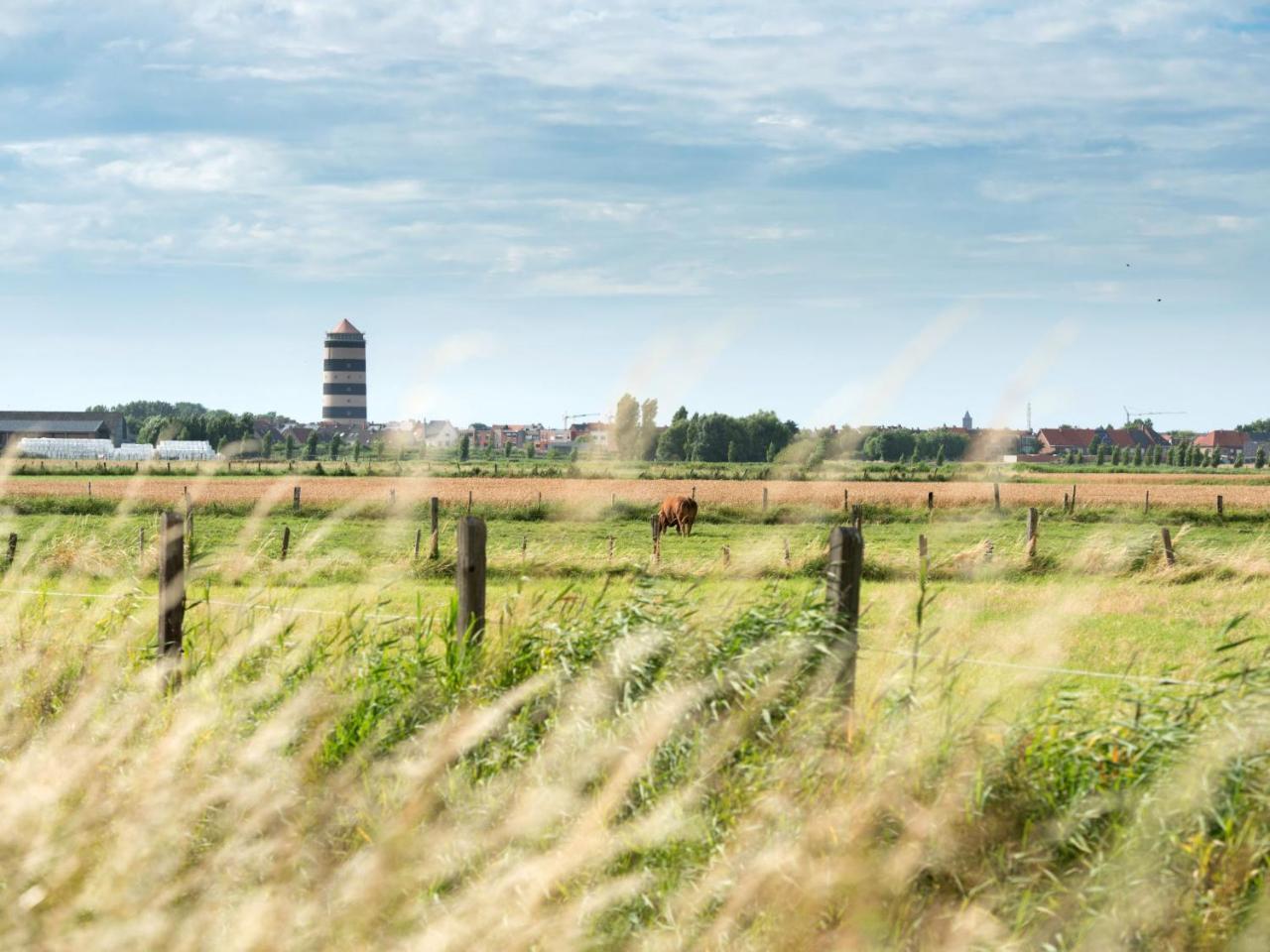 Studio Residentie Astrid-3 By Interhome Bredene Eksteriør billede